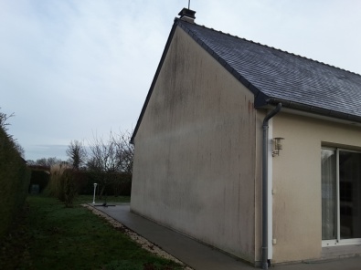 Champignons d'humidit&eacute;